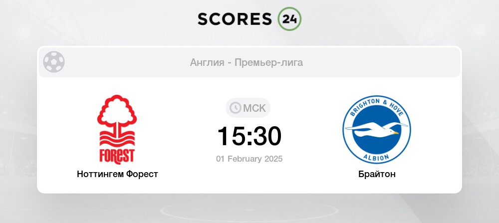 Брайтон результаты матчей. Брайтон результаты матчей