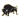 Harding Bisons
