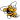 American International Yellow Jackets