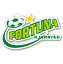 logo Фортуна Йорринг (Ж)