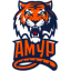 logo Амур