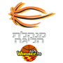 Basketball League