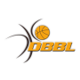 Damen Basketball Bundesliga